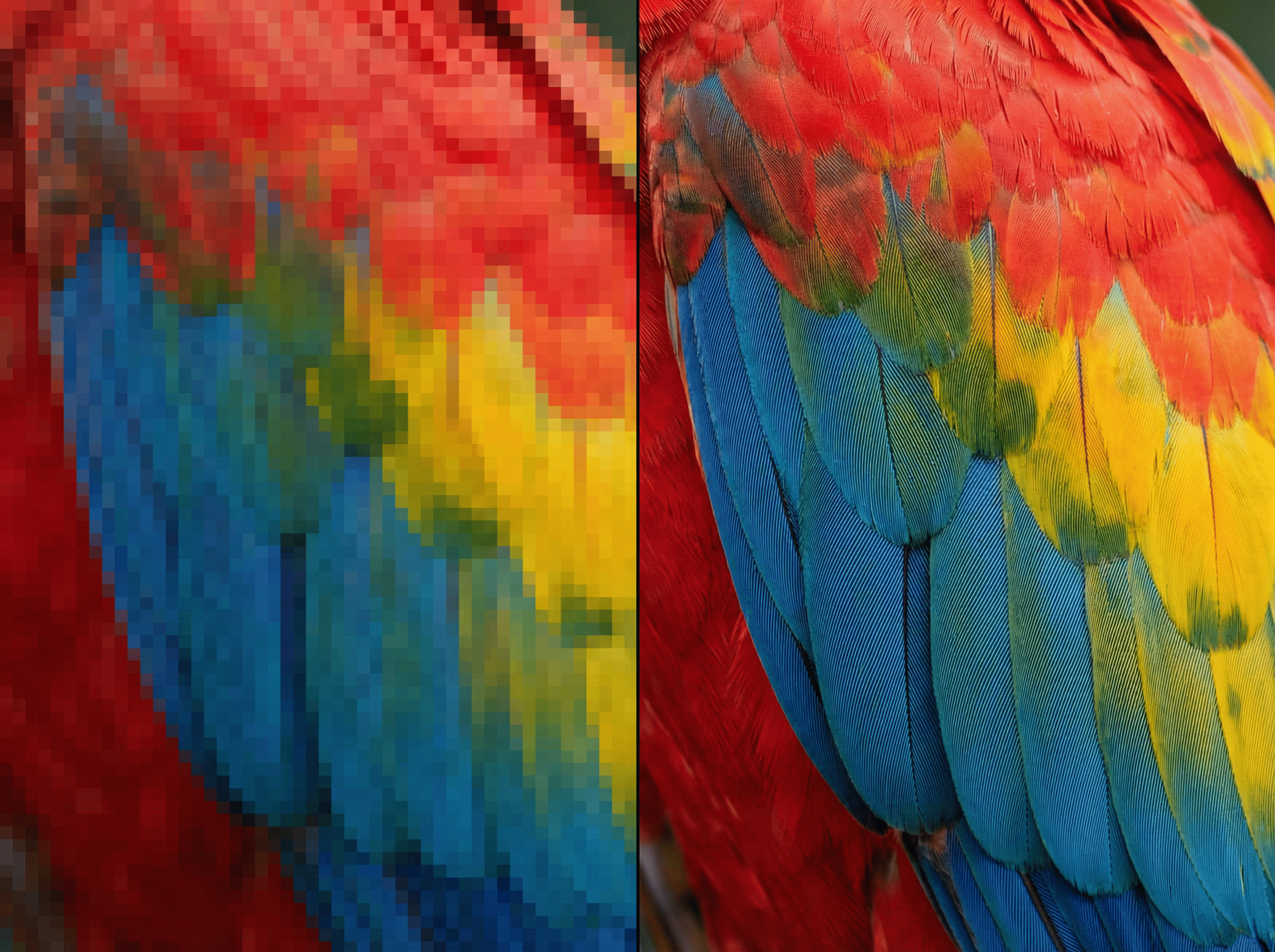 Luckiss AI 4K restoration: Before and after comparison showing detail reconstruction on a blurry photo.